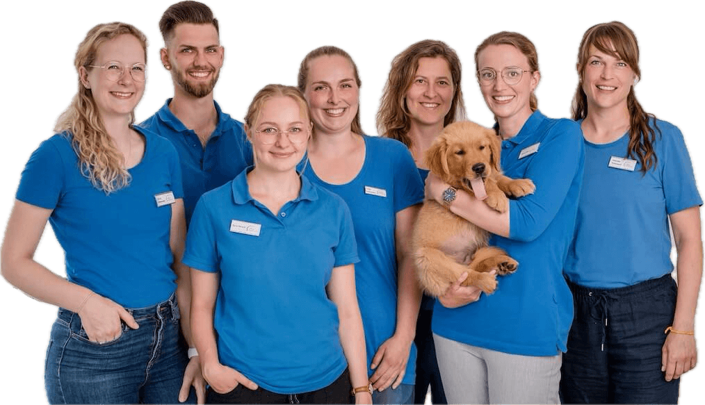 Team Zack Ergotherapie