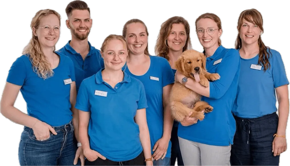 Team von Zack Ergotherapie – Ergotherapeutinnen und Ergotherapeuten